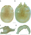 Figure 28.