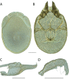 Figure 142.