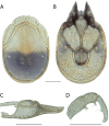 Figure 248.
