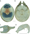 Figure 232.