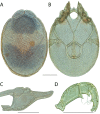 Figure 233.