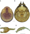 Figure 106.