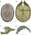 Figure 130.