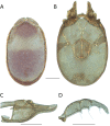 Figure 144.