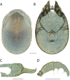 Figure 269.