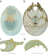 Figure 138.