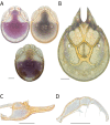Figure 212.