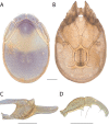 Figure 163.
