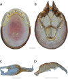 Figure 173.