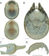 Figure 268.