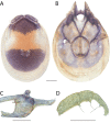 Figure 259.