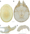 Figure 109.