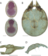 Figure 77.