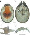 Figure 127.