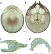 Figure 241.