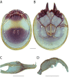 Figure 22.