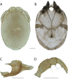 Figure 131.