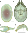 Figure 226.