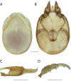 Figure 55.