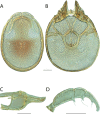Figure 274.