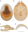 Figure 266.