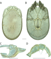 Figure 66.