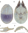 Figure 166.