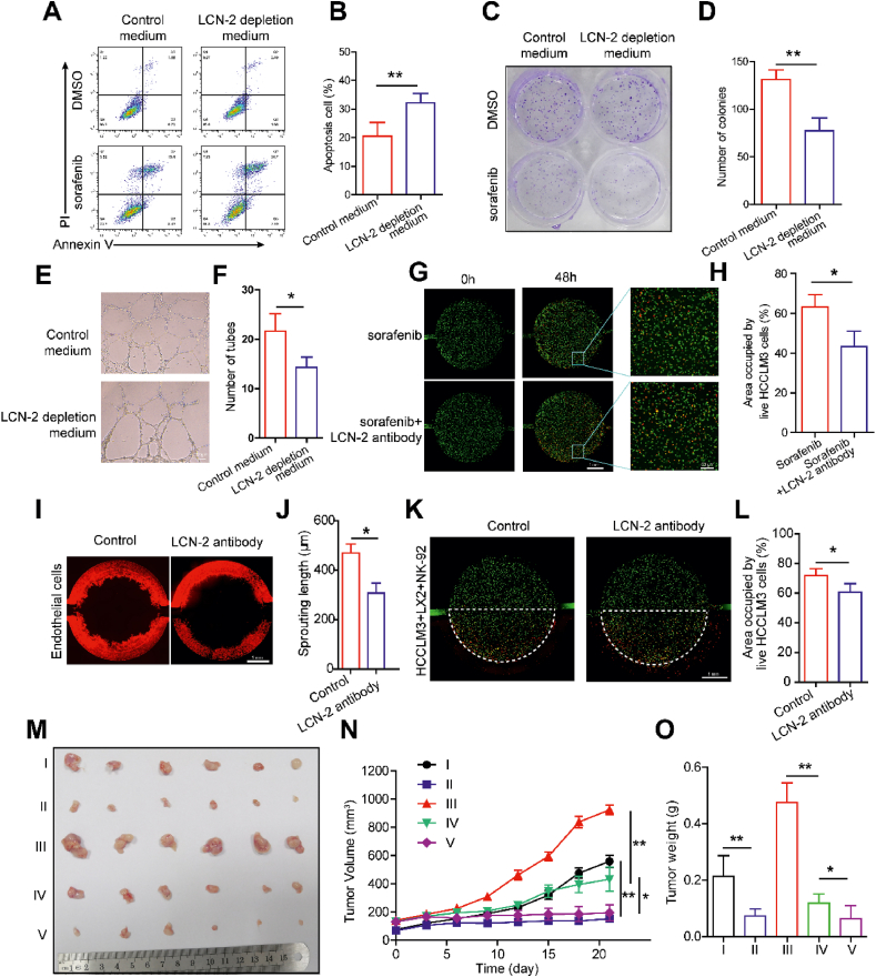 Figure 6