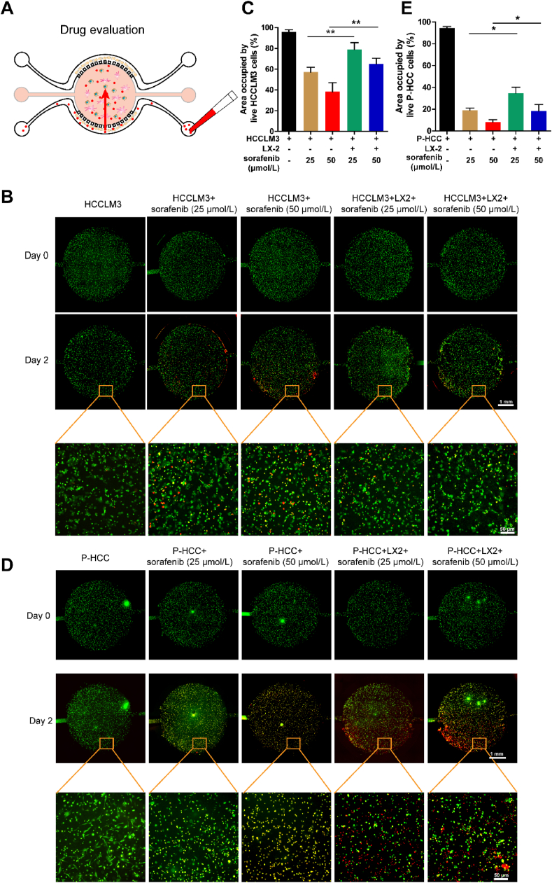 Figure 3