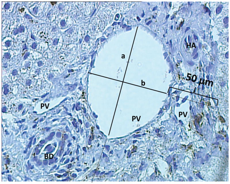 Fig.1