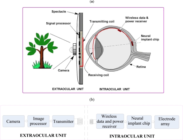 Fig. (2)