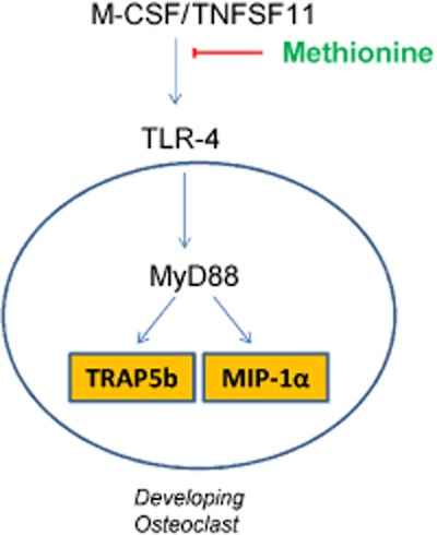 Figure 16