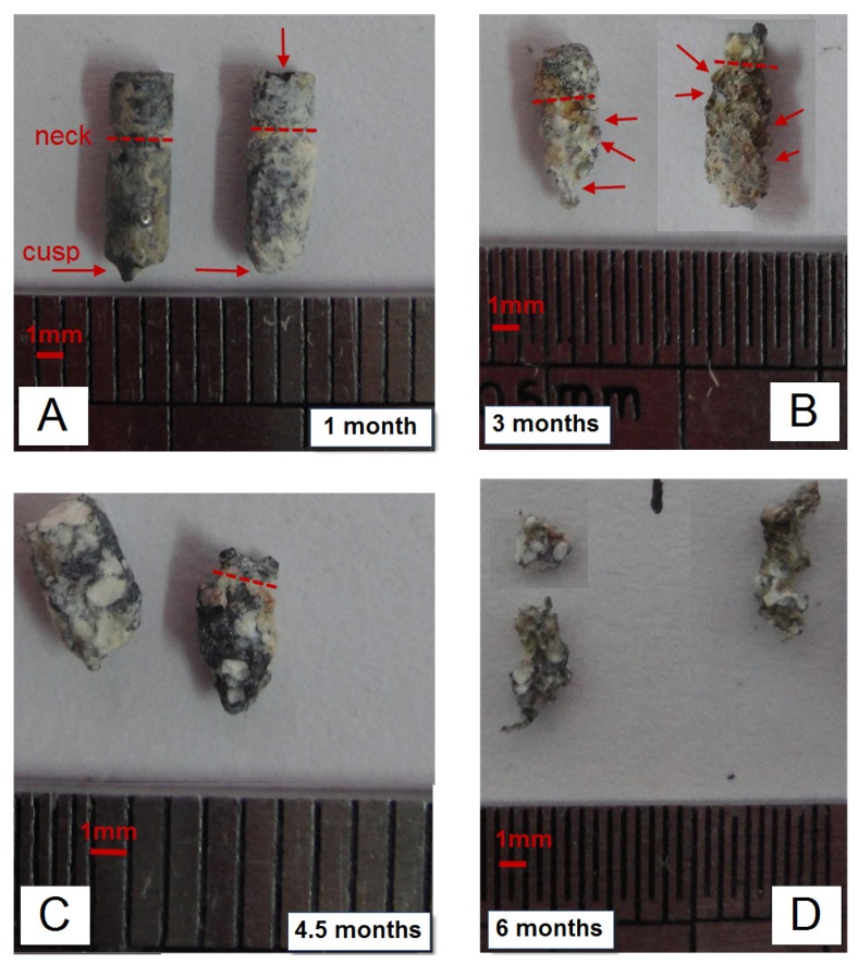 Figure 3.