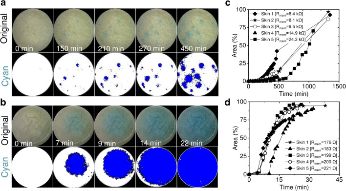 Fig. 2