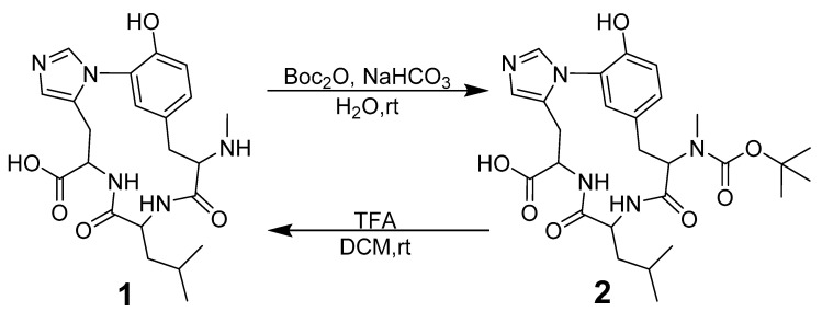 Scheme 1