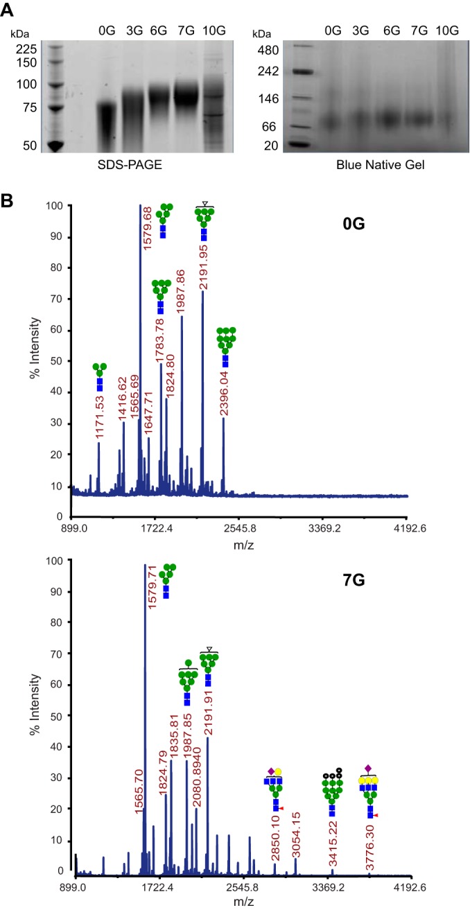 FIG 2