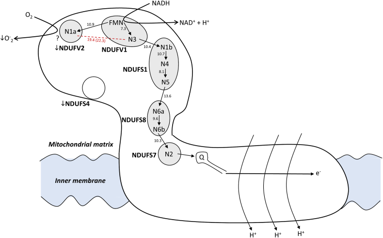 Fig. 4