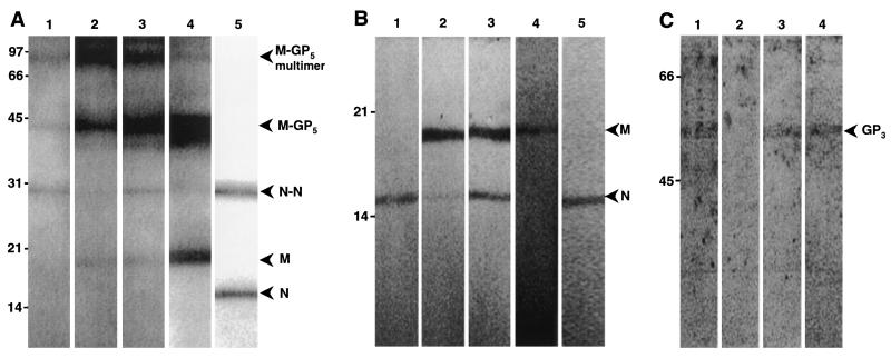 FIG. 9.