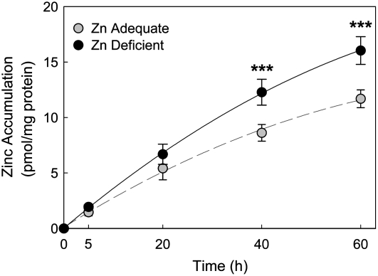 FIGURE 7 