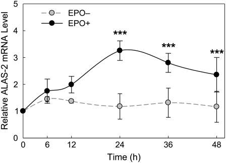 FIGURE 3 