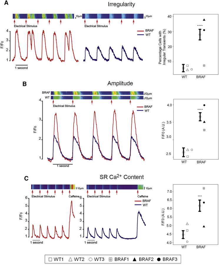 Figure 3