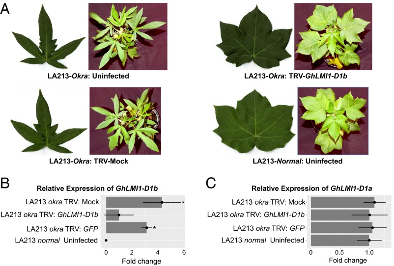 Fig. 4.