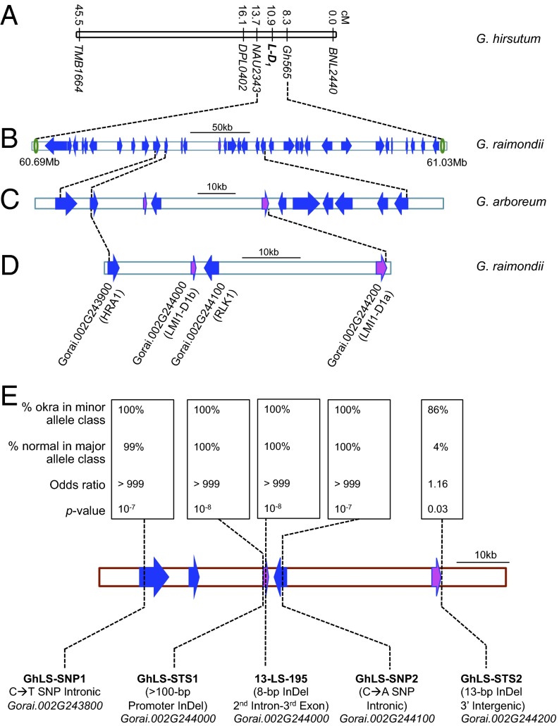 Fig. 2.