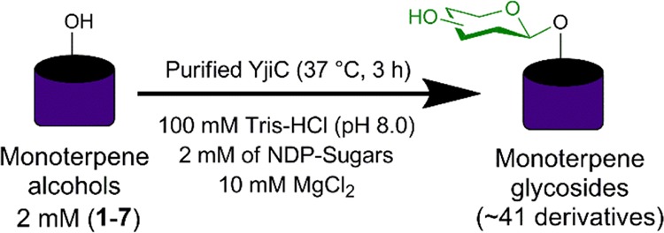 Scheme 1