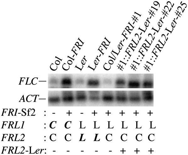 Figure 7.