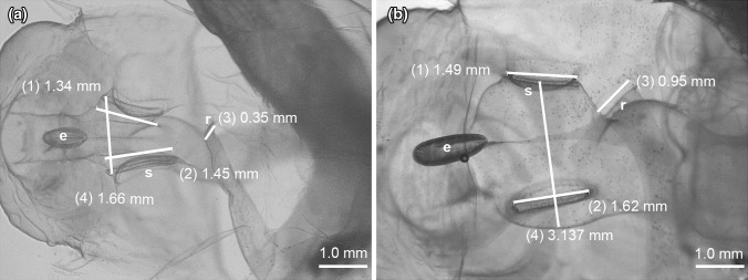 Fig. 5