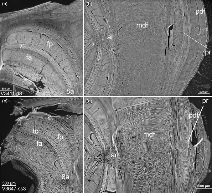 Fig. 6