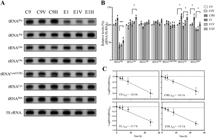 Figure 5.