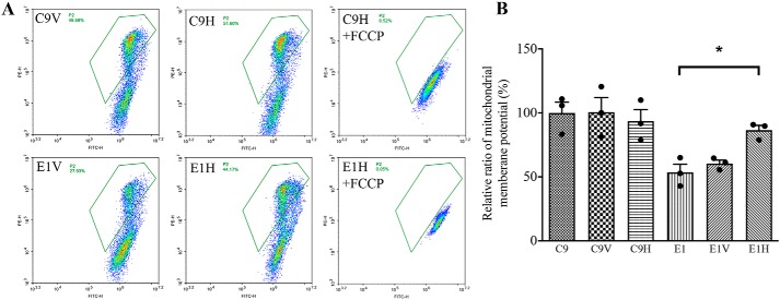 Figure 11.