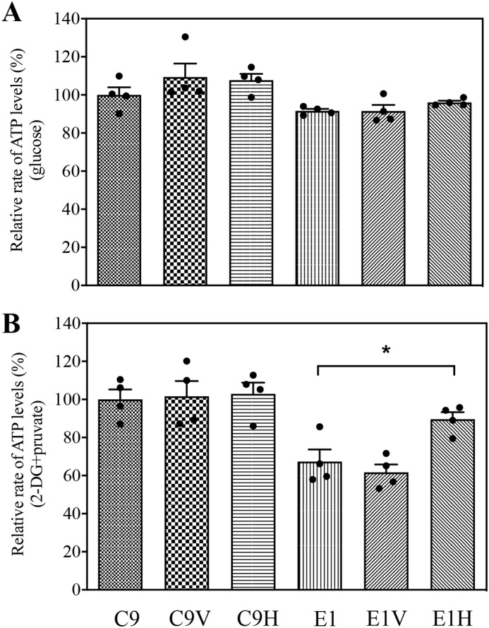 Figure 10.